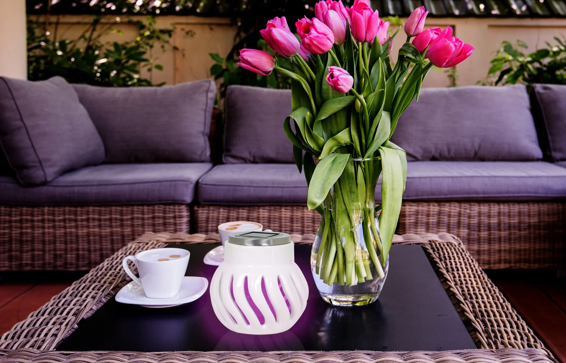 Anti-Mücken-Windlicht mit Solar - 0