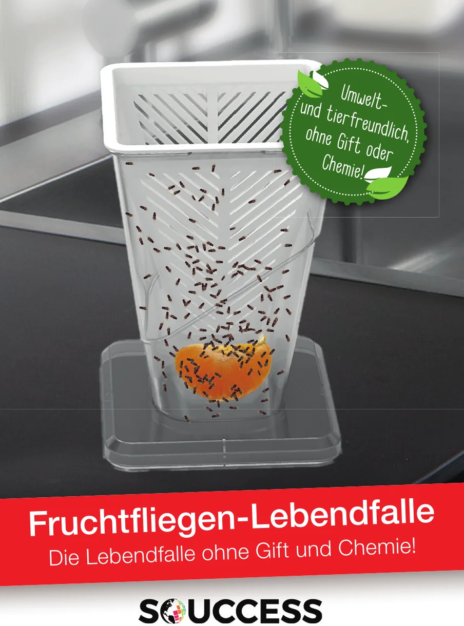 Fruchtfliegenfalle - Lebendfalle - 1