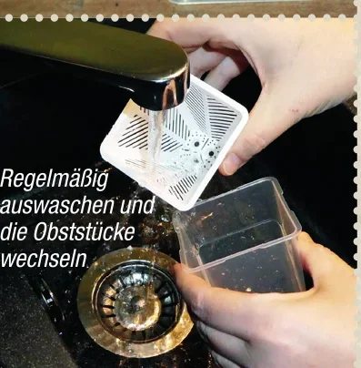 Fruchtfliegenfalle - Lebendfalle - 2