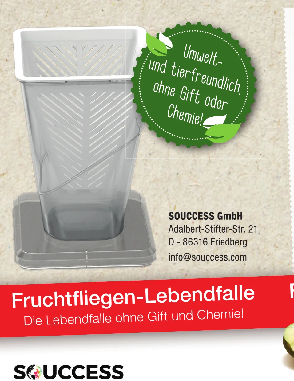Fruchtfliegenfalle - Lebendfalle - 5