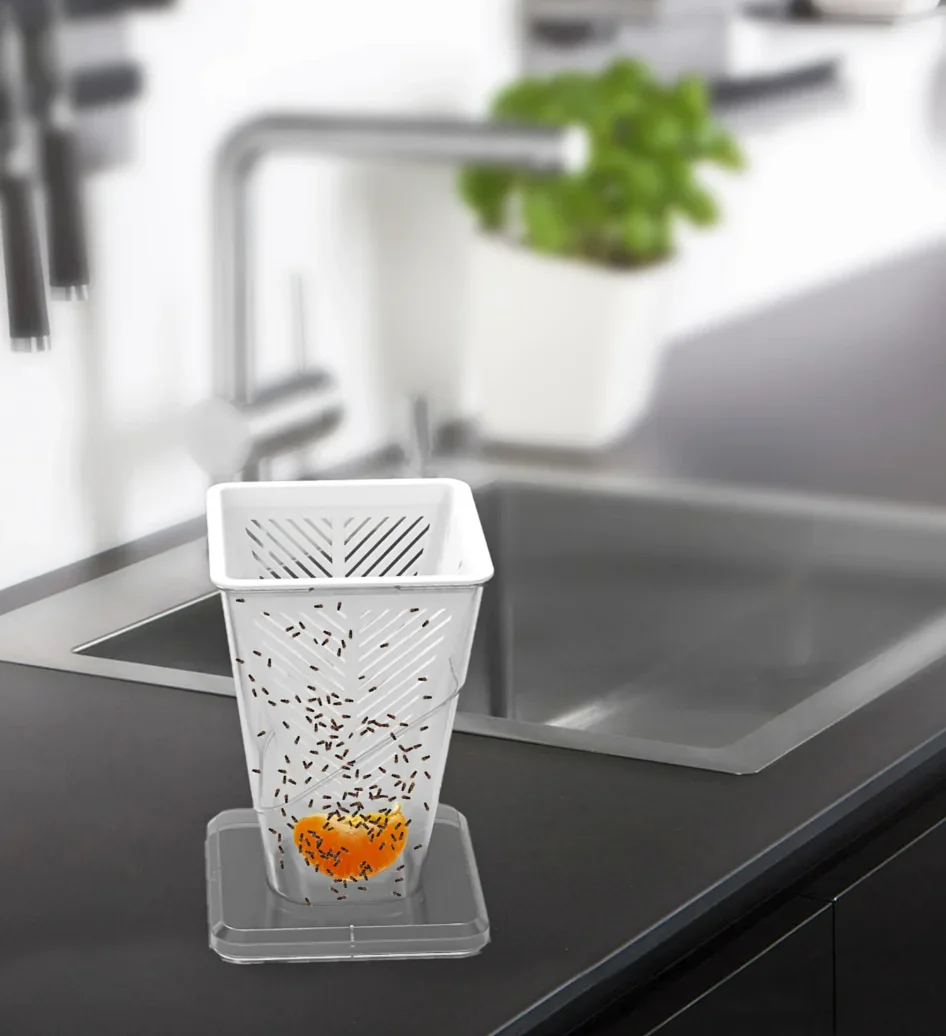 Fruchtfliegenfalle - Lebendfalle - 6