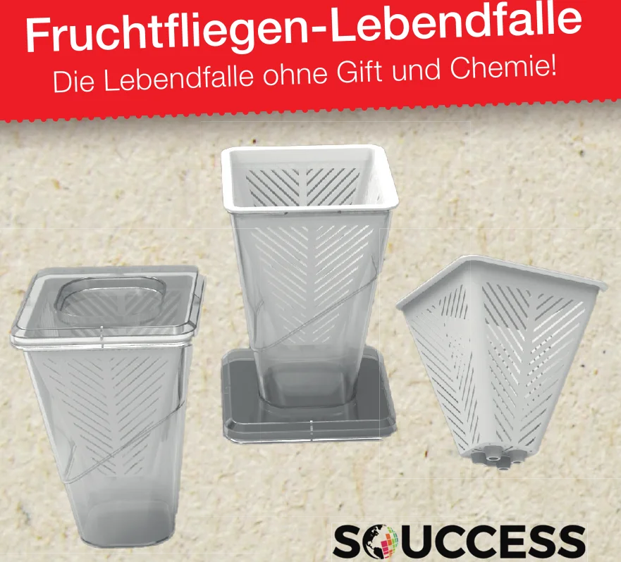 Fruchtfliegenfalle - Lebendfalle - 7