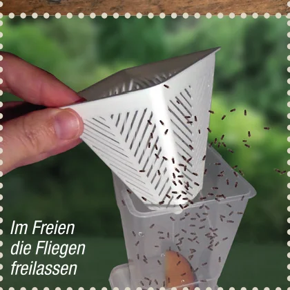 Fruchtfliegenfalle - Lebendfalle - 8