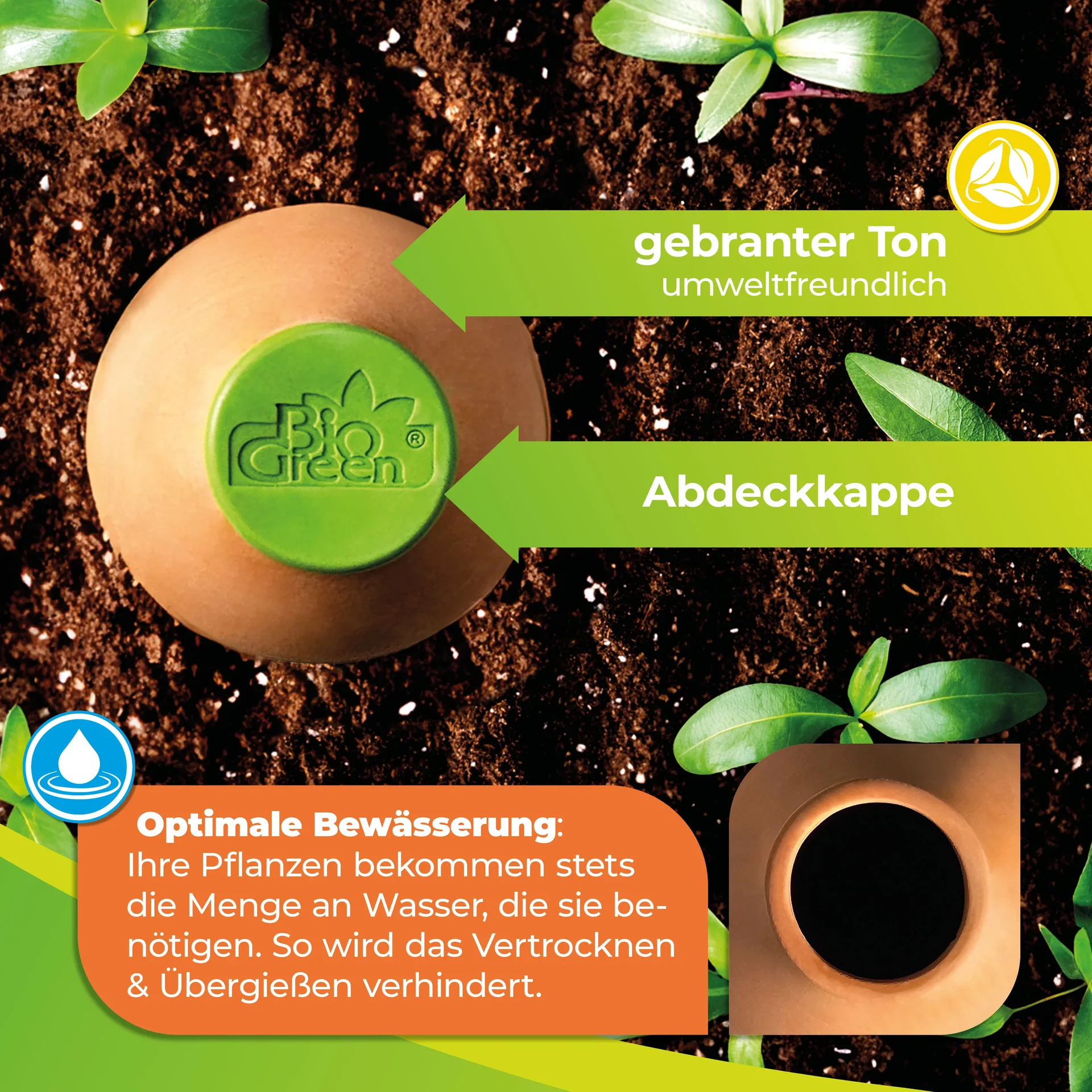 Olla-Bewässerung "Hydro Max" Größe L - 2