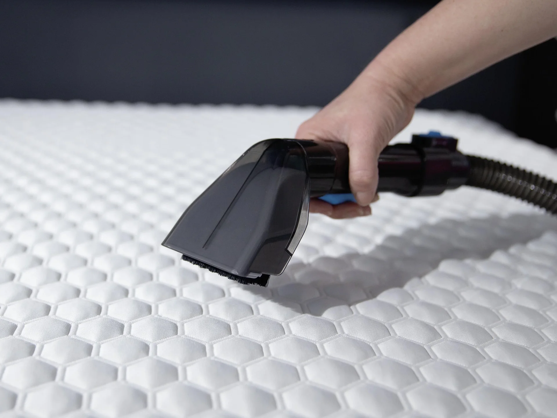 Tragbarer Waschsauger Spotblast - 5