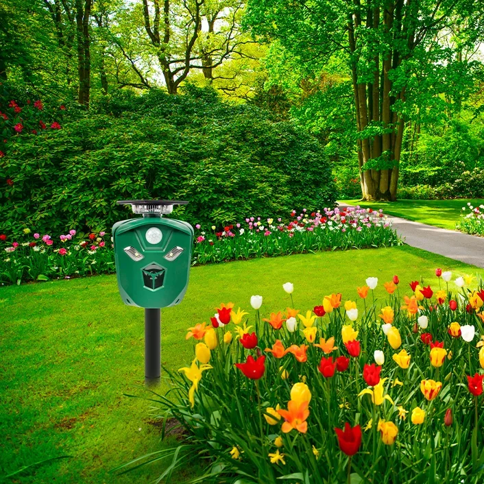 Tierschreck mit Ultraschall + Blitzlicht "360" - 2