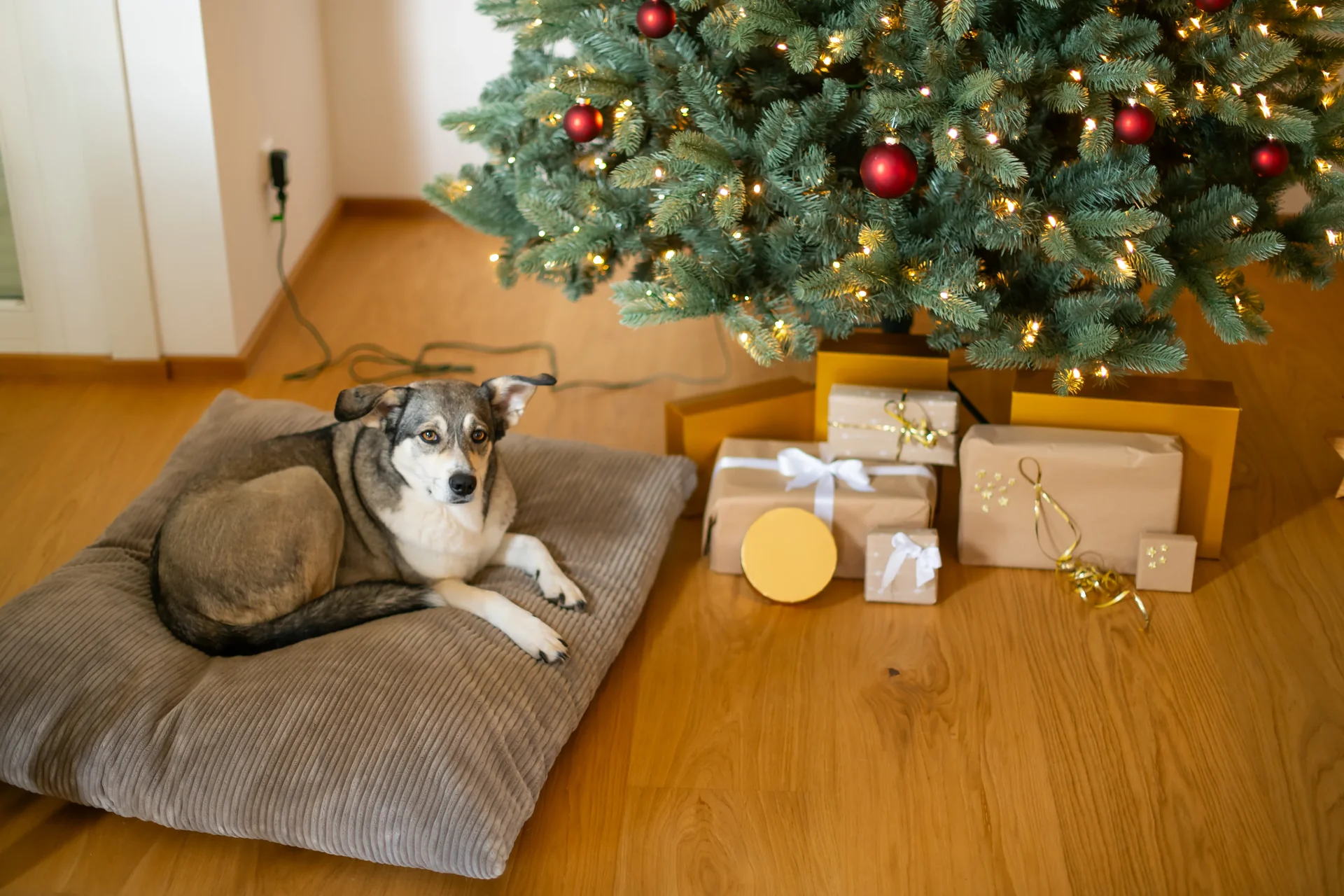 Künstlicher Weihnachtsbaum Vermont Fichte | Inkl. LEDs - 1