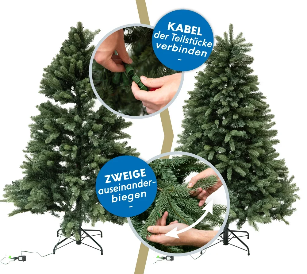 Roswell Kiefer inkl. Lichterkette 210 cm - 6