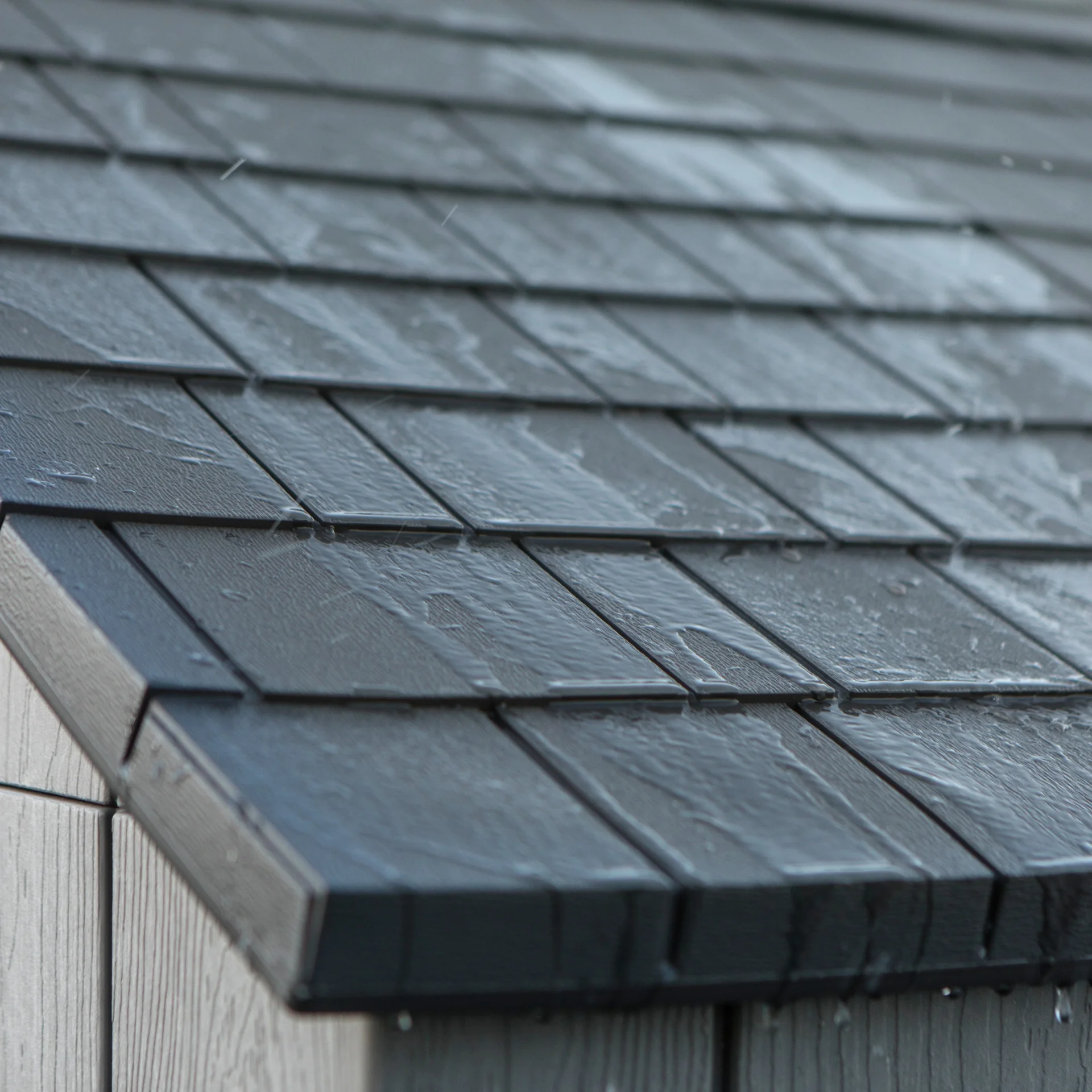 Lifetime Gerätehaus Jupiter - 3