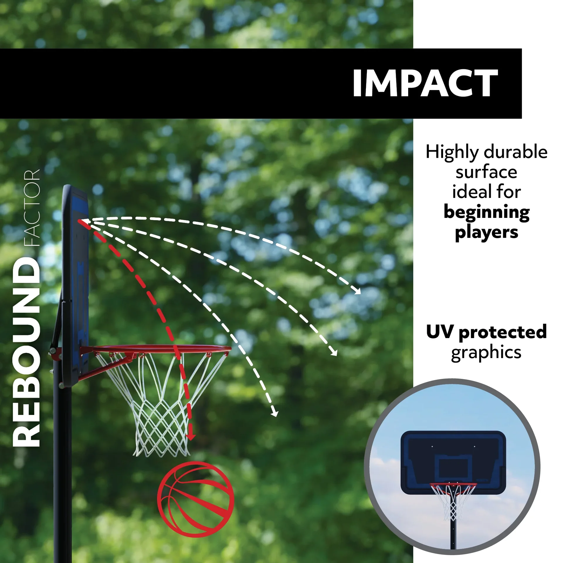 Basketball Backboard Colorado - 4