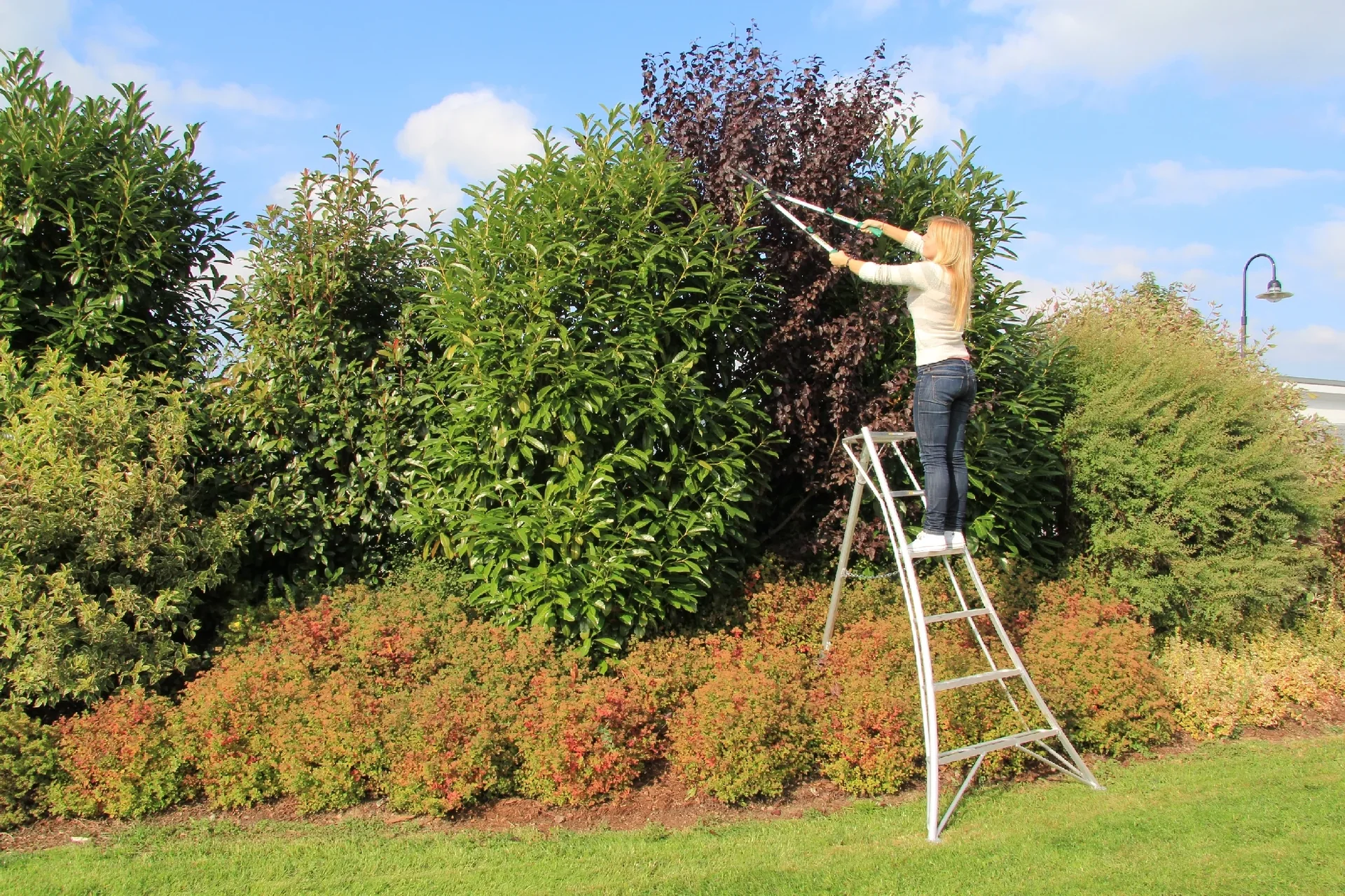 3-Holm-Gartenleiter, 180 cm - 0