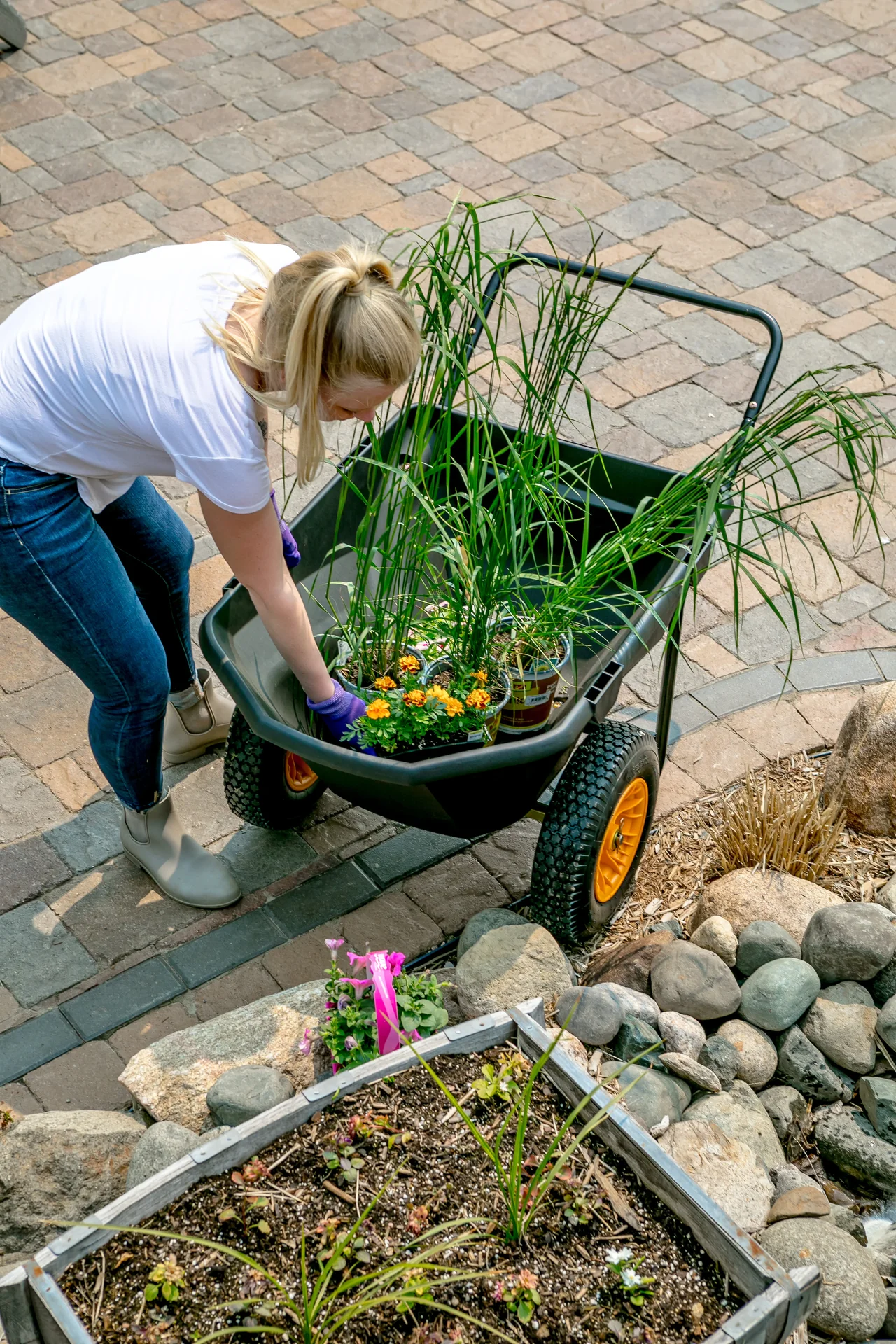 Schubkarre Cub Cart - 8