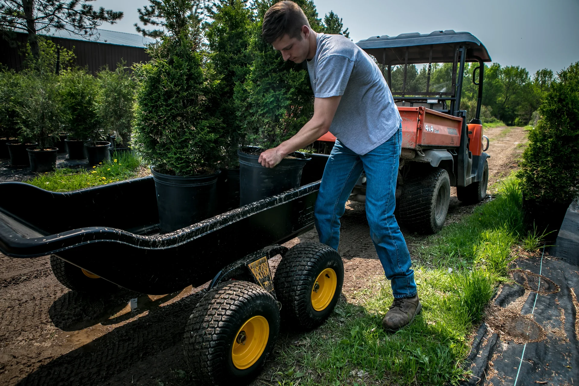 Tandem Trailer Anhänger TA1500 - 1