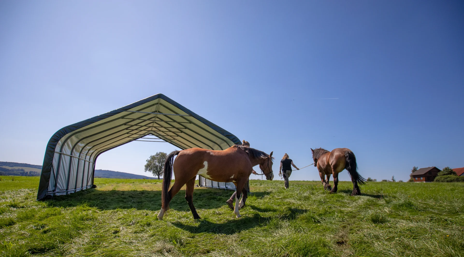 Weidezelt 49,6 m² - 0