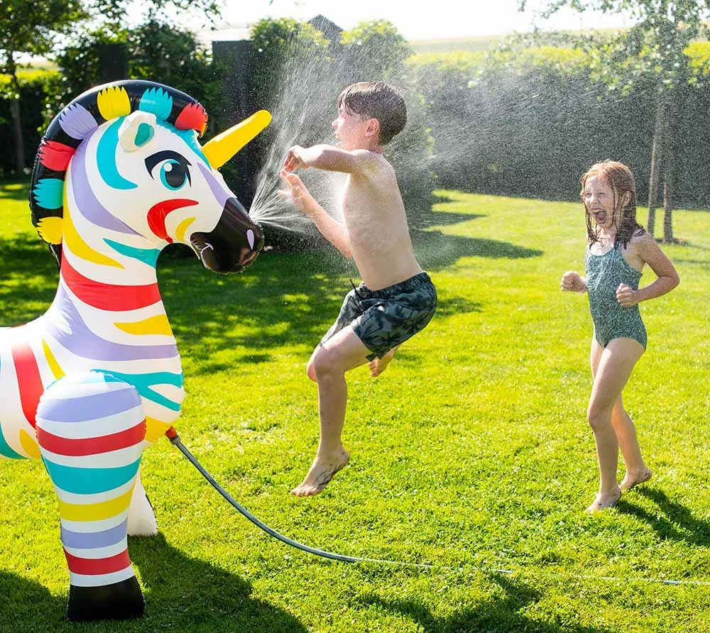 Zebra - 6
