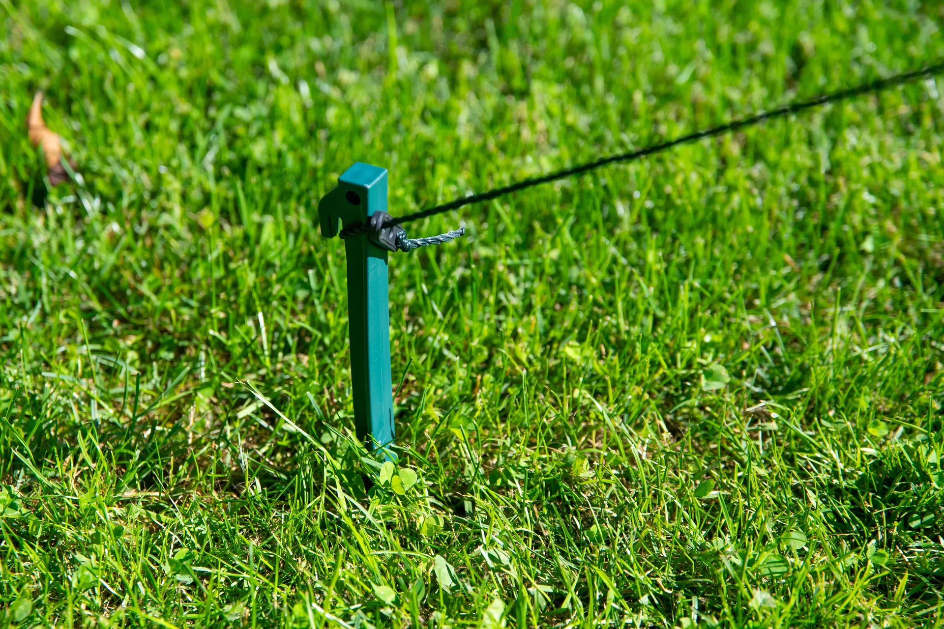 Foliengewächshaus Olive - 0