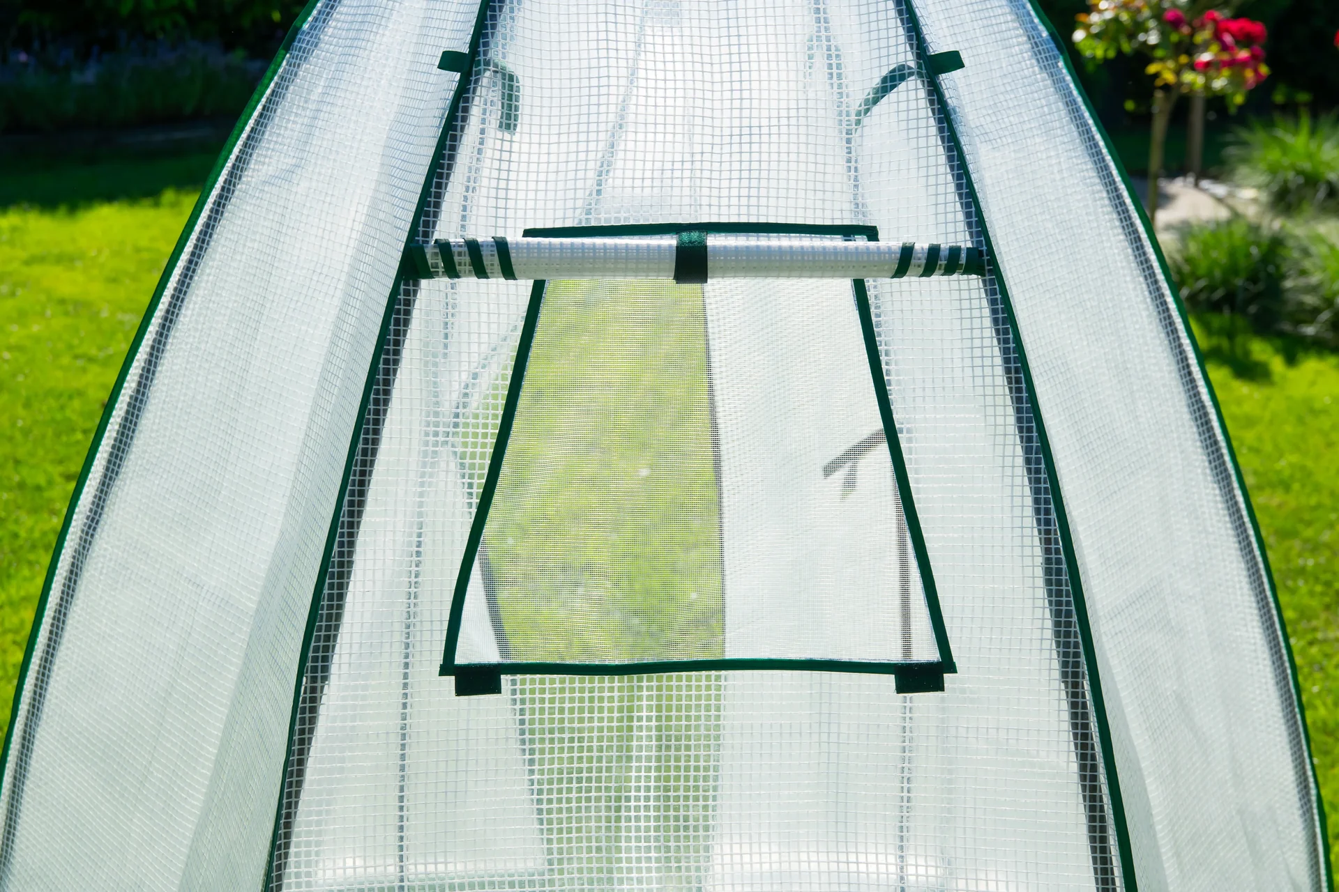 Foliengewächshaus Olive - 1