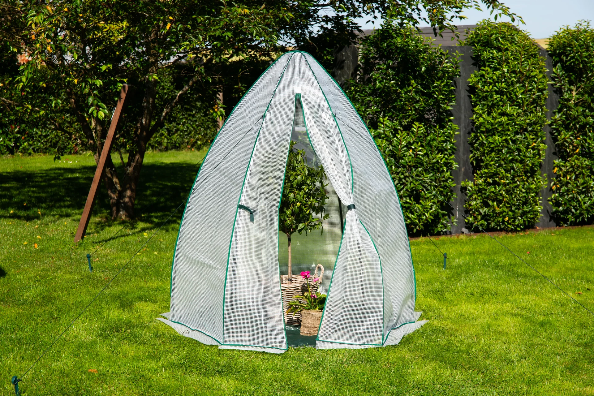 Foliengewächshaus Olive - 3