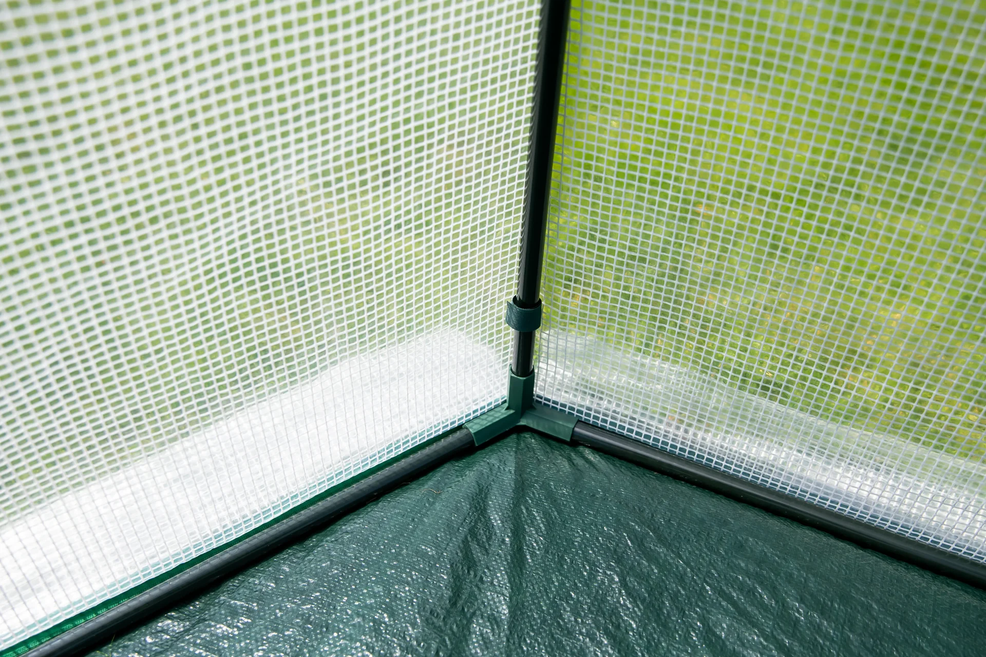 Foliengewächshaus Winterzelt Avocado - 3