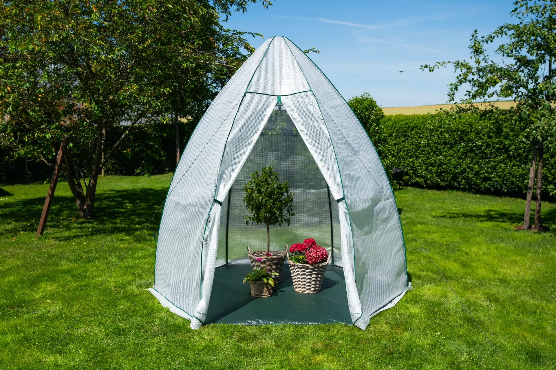 Foliengewächshaus Winterzelt Avocado - 6