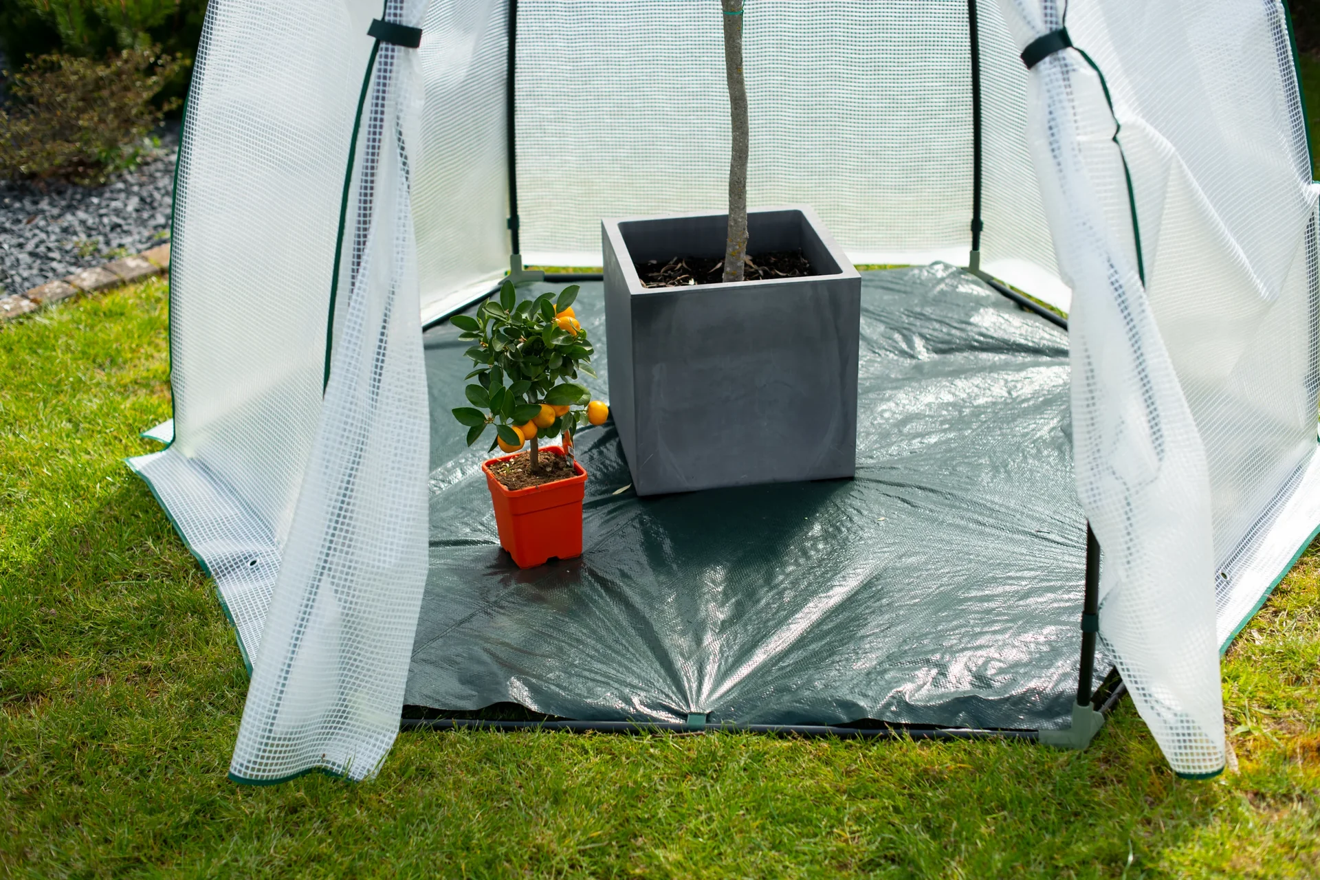 Foliengewächshaus Winterzelt Minze - 2