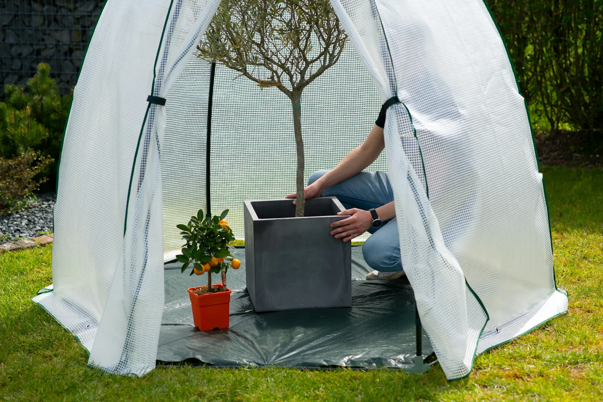 Foliengewächshaus Winterzelt Minze - 8