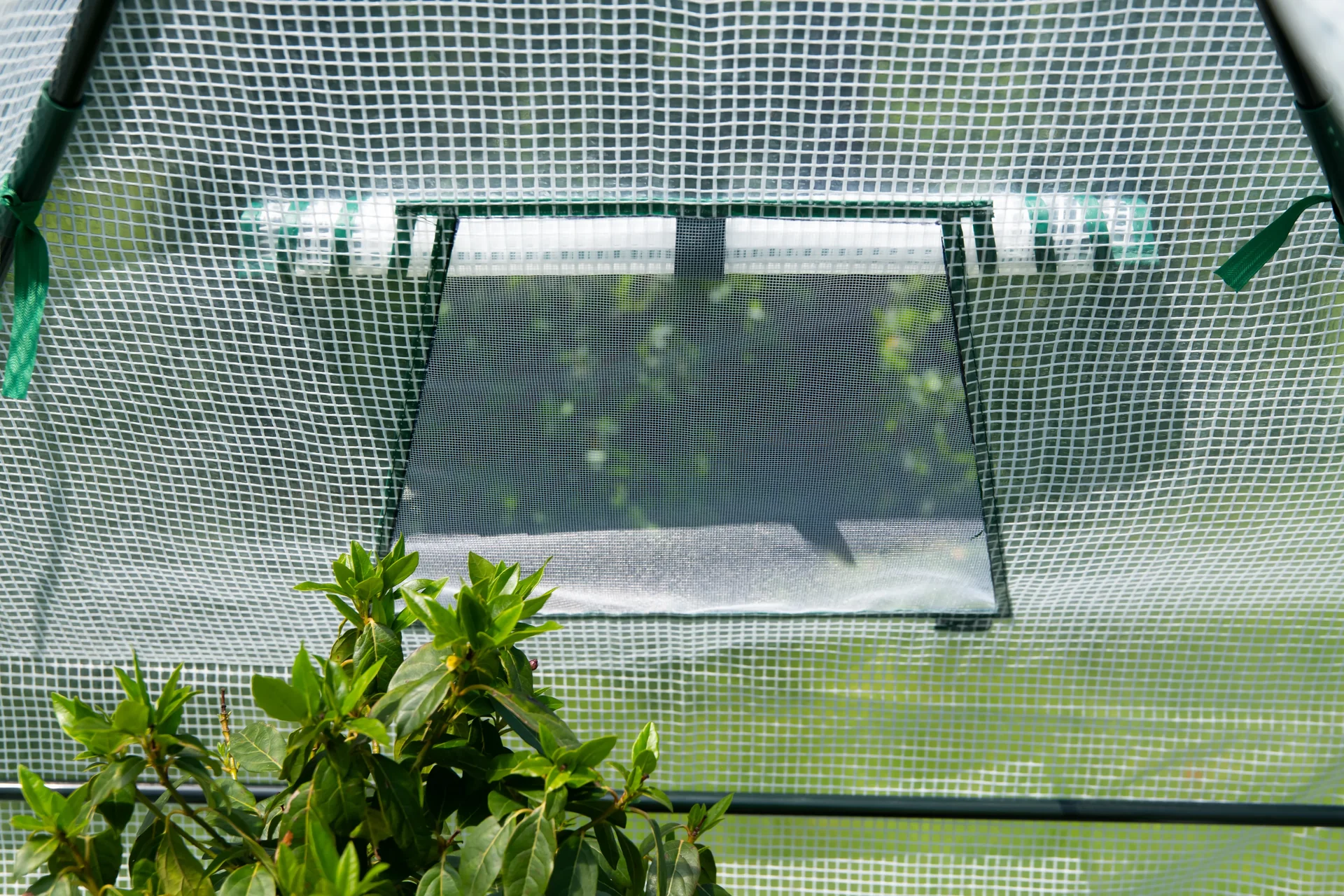 Foliengewächshaus Winterzelt mit Boden Chili - 2