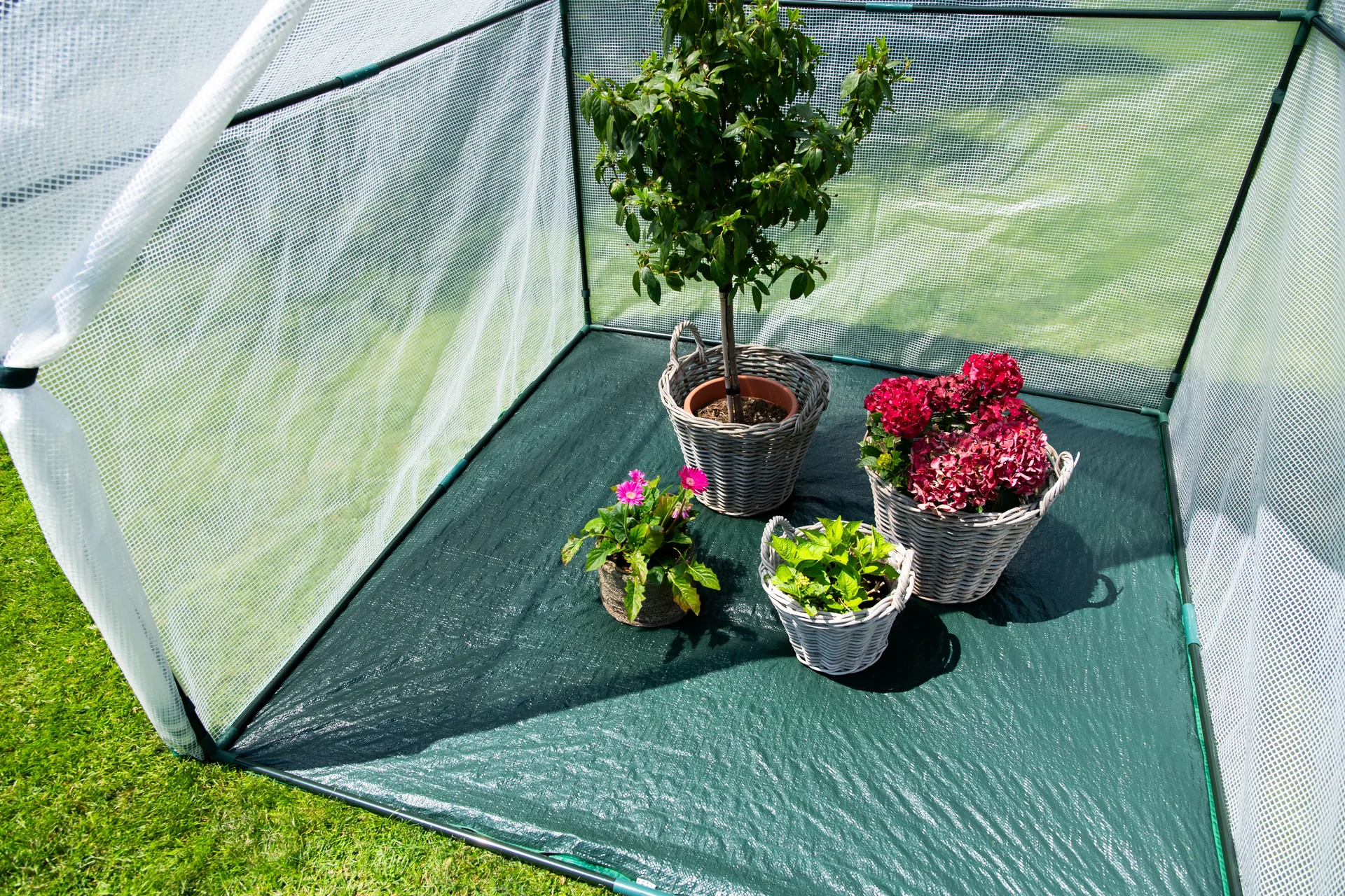 Foliengewächshaus Winterzelt mit Boden Peperoni - 0