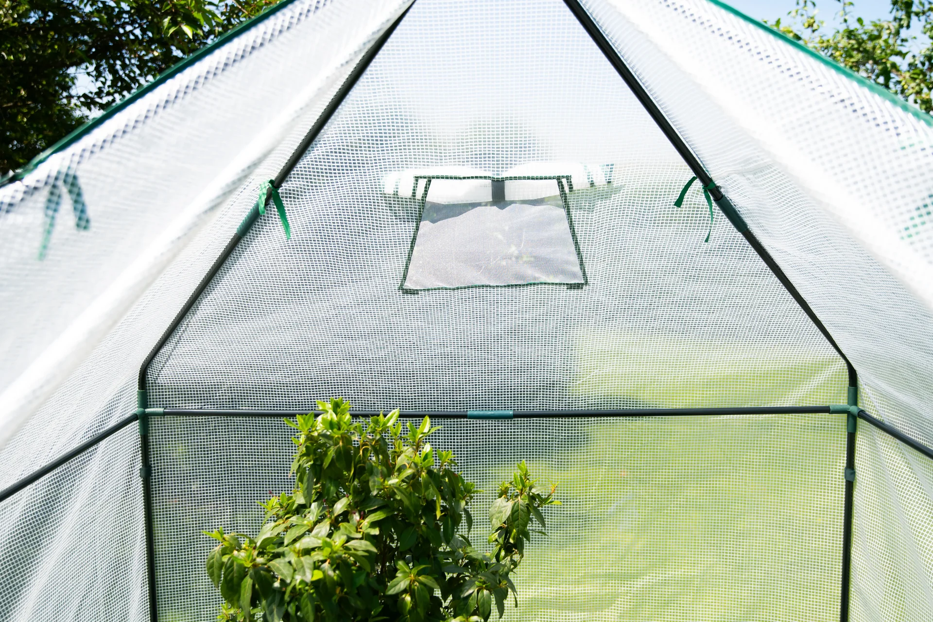 Foliengewächshaus Winterzelt mit Boden Peperoni - 3