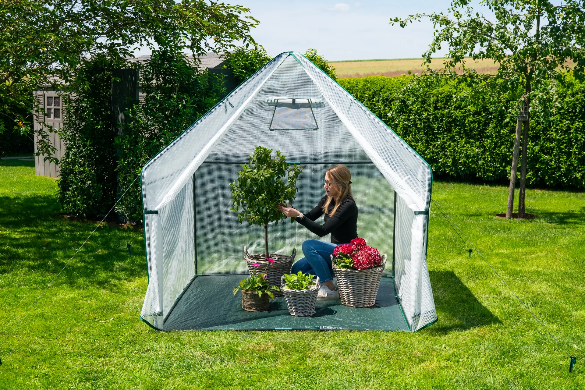 Foliengewächshaus Winterzelt mit Boden Peperoni - 8