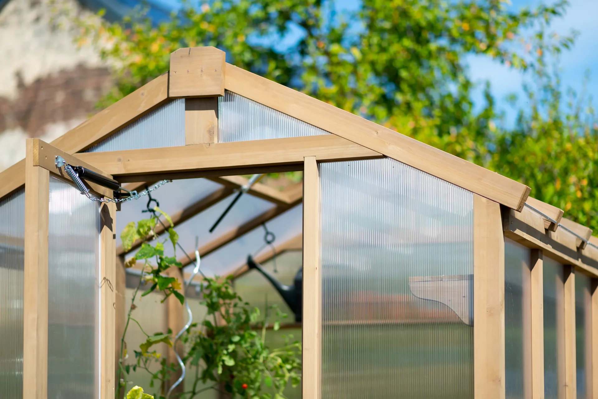 Gewächshaus Paul - 2