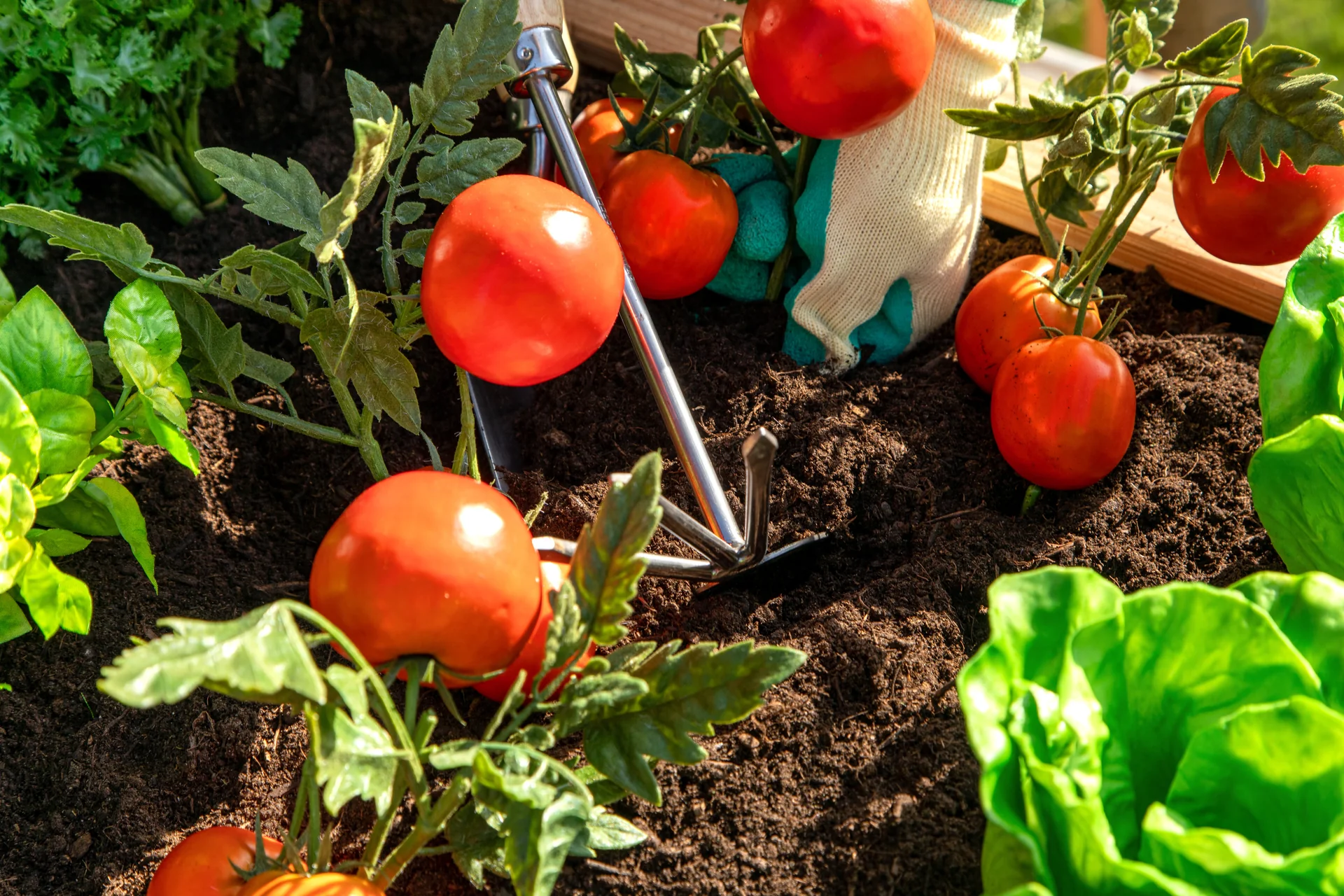 Hochbeet Lärche 170 - 3