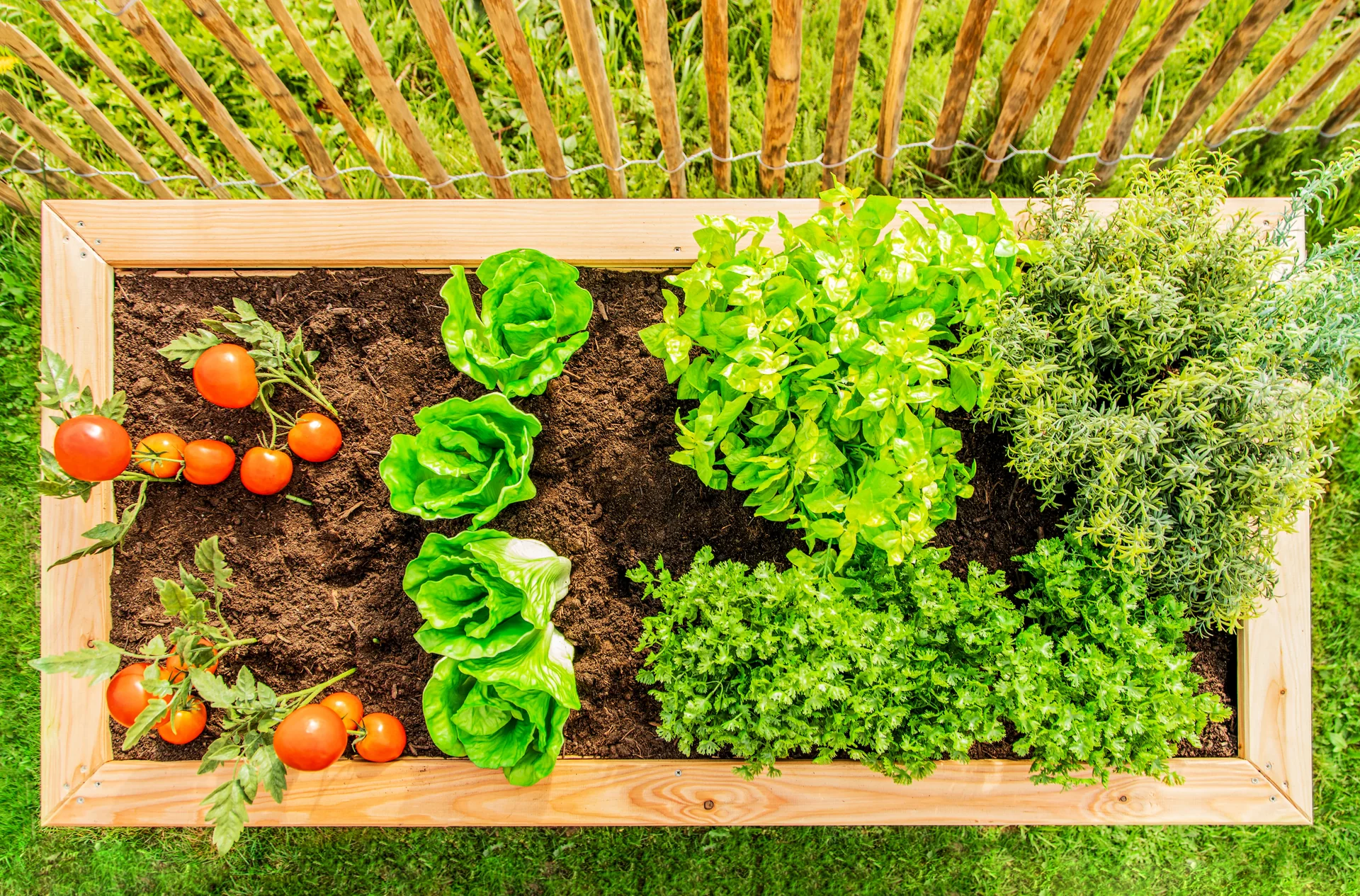 Hochbeet Lärche 170 - 5