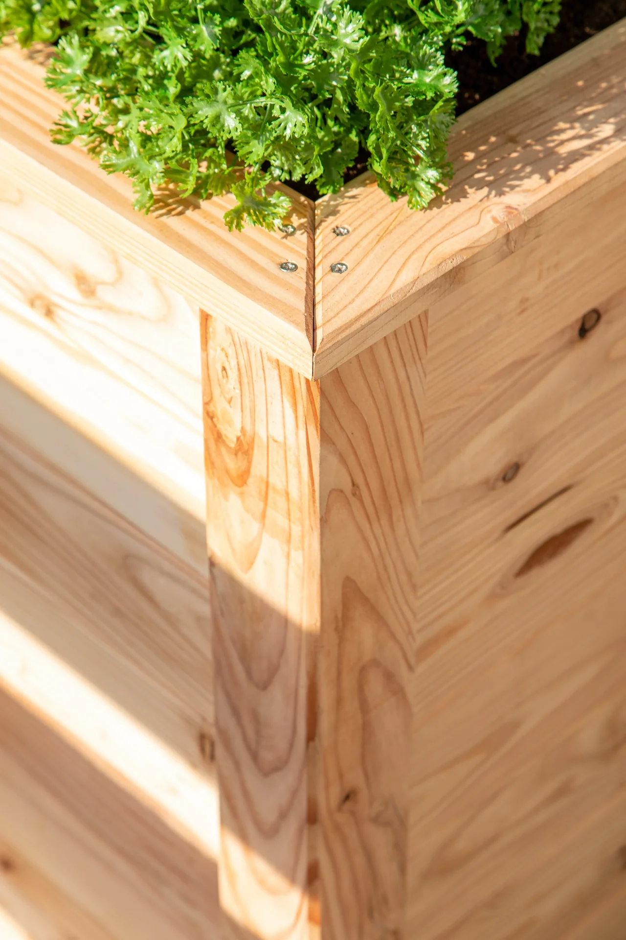 Hochbeet Lärche 170 - 6