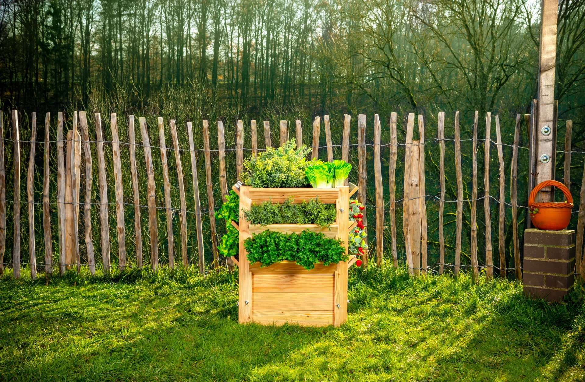 Premium Hochbeet L - 3