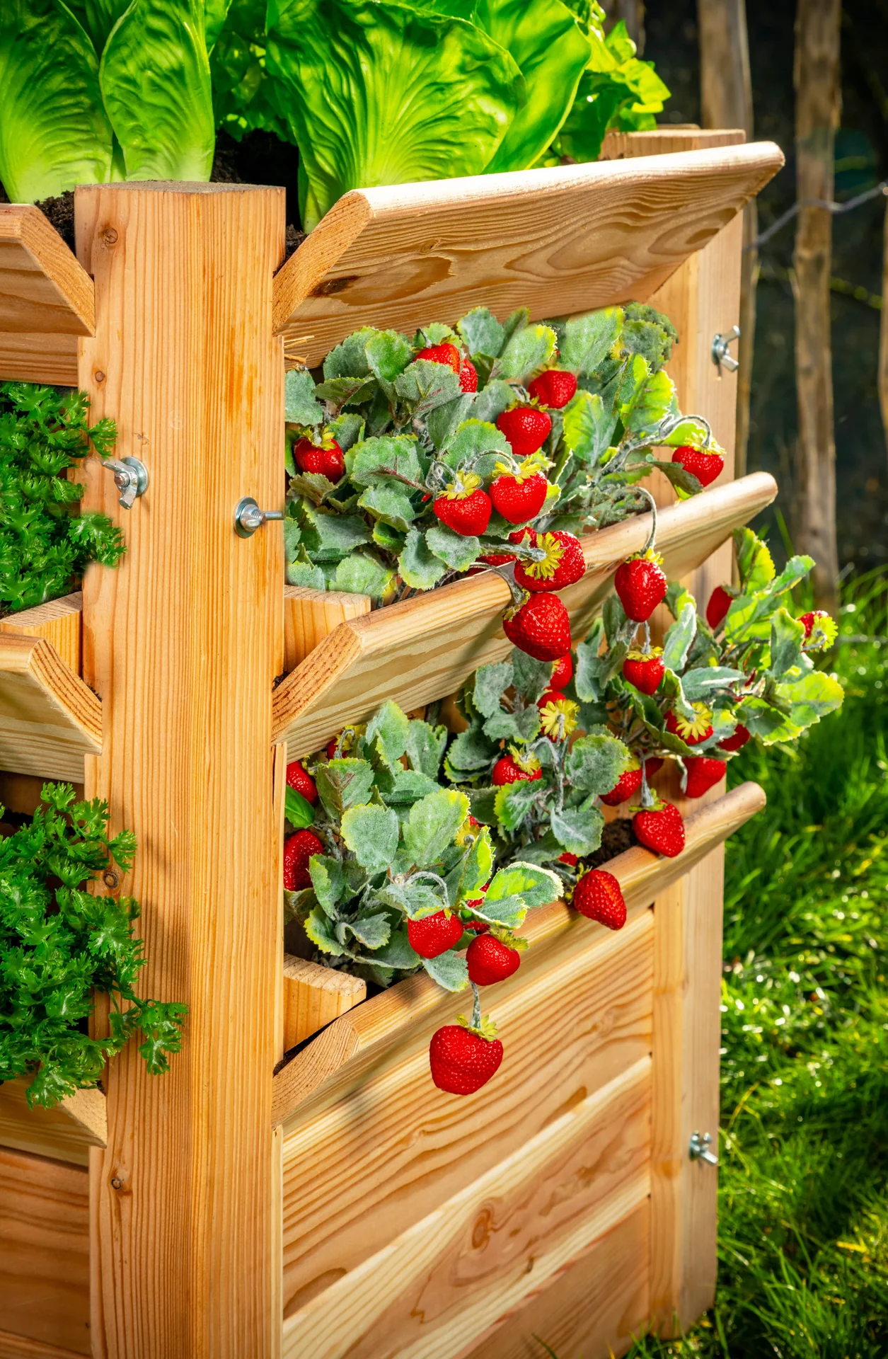 Premium Hochbeet L - 5