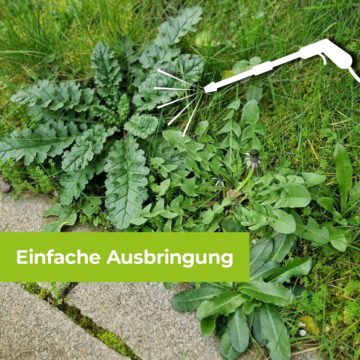 Permaclean Grundstoff Acetum 5 L - 3