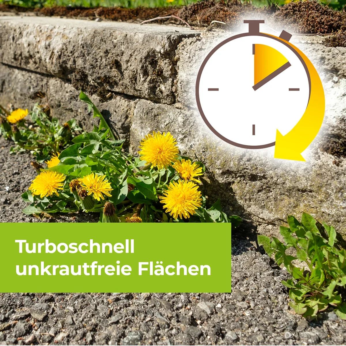 Permaclean Grundstoff Acetum 5 L - 6