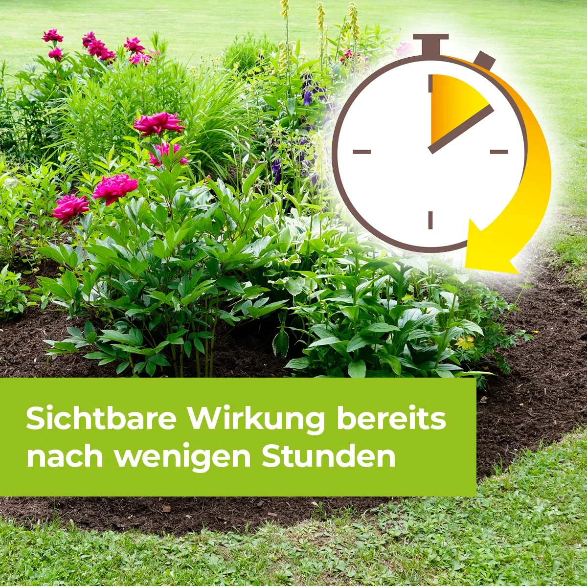 Permaclean Express Unkrautfrei AF 1 L - 2