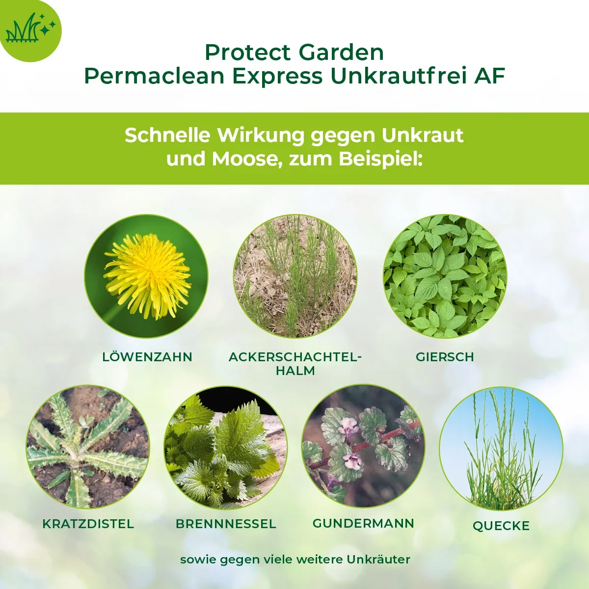 Permaclean Express Unkrautfrei AF 1 L - 4