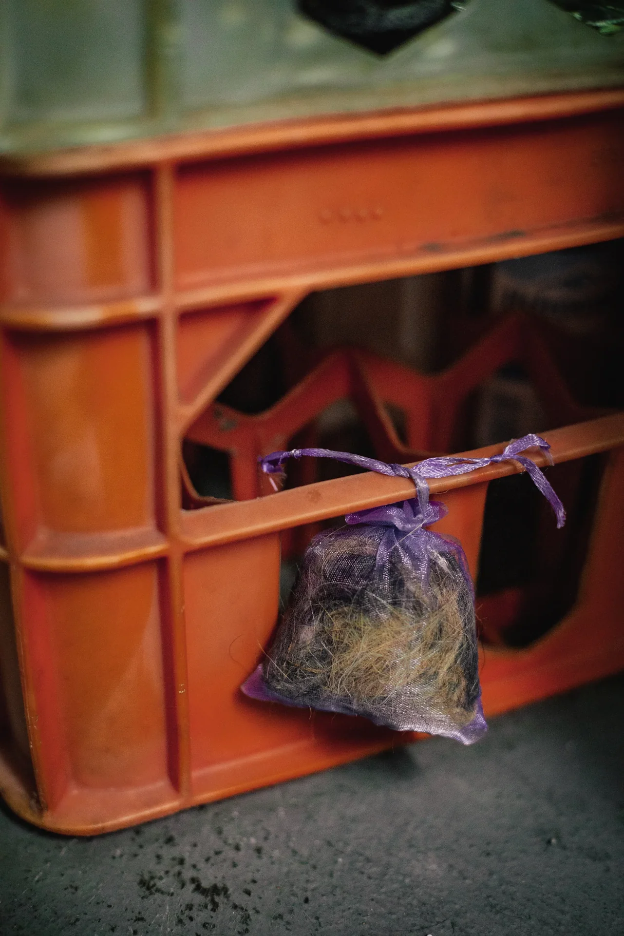 Mäuseabwehr 10 Stück - 4