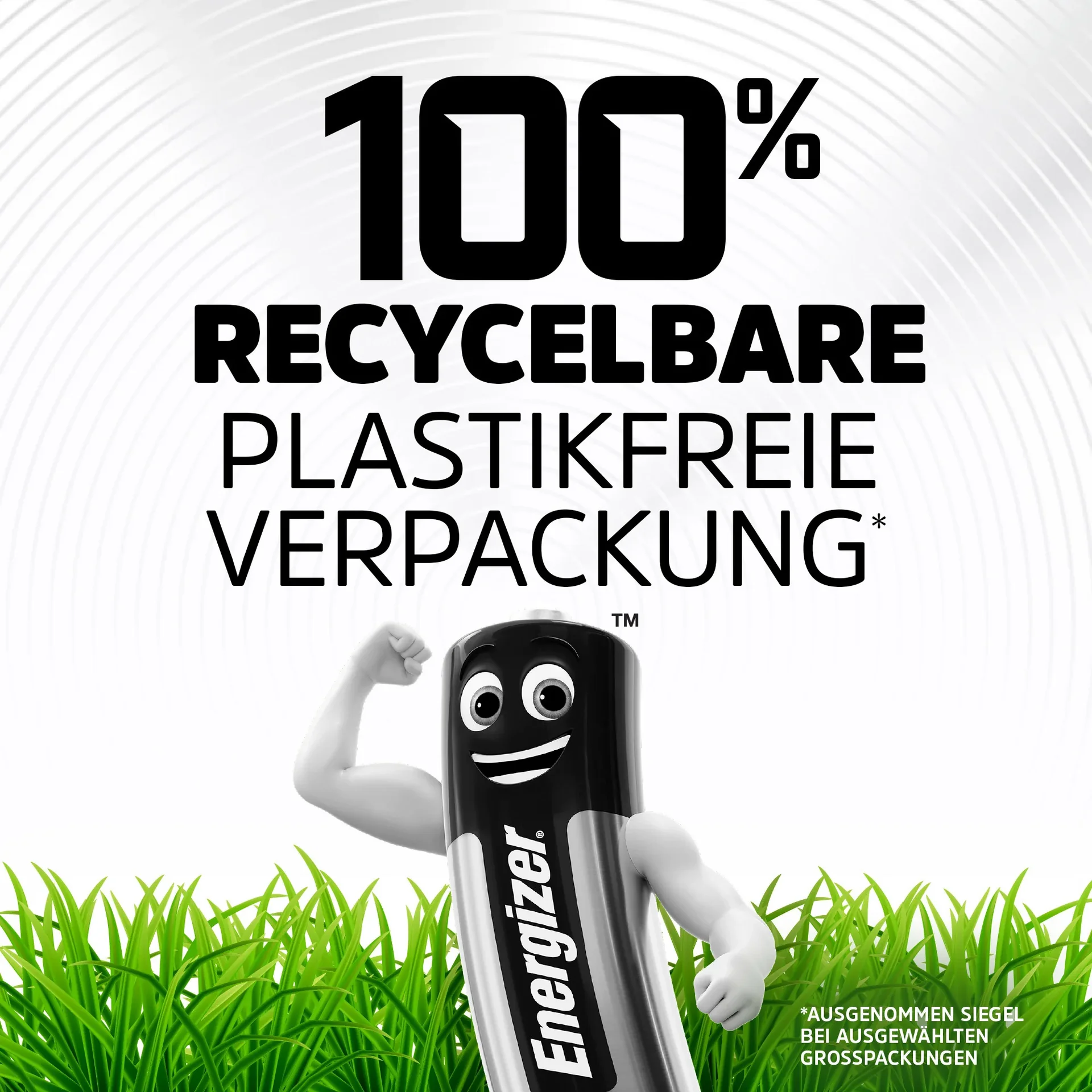 Energizer Alkaline Power Mignon (AA) - 24er Box - 0