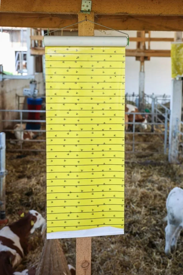 Stall-Fliegenrolle JumboXL 10 m x 40 cm - 0