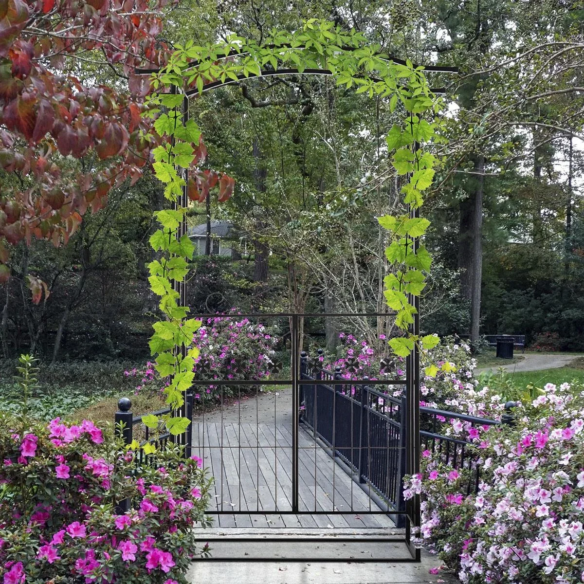 Pflanzbogen Torbogen mit zwei Türflügel Rankgitter Rankhilfe Garten Bogendach Metall Schwarz 131x 49 x 209 cm - 1