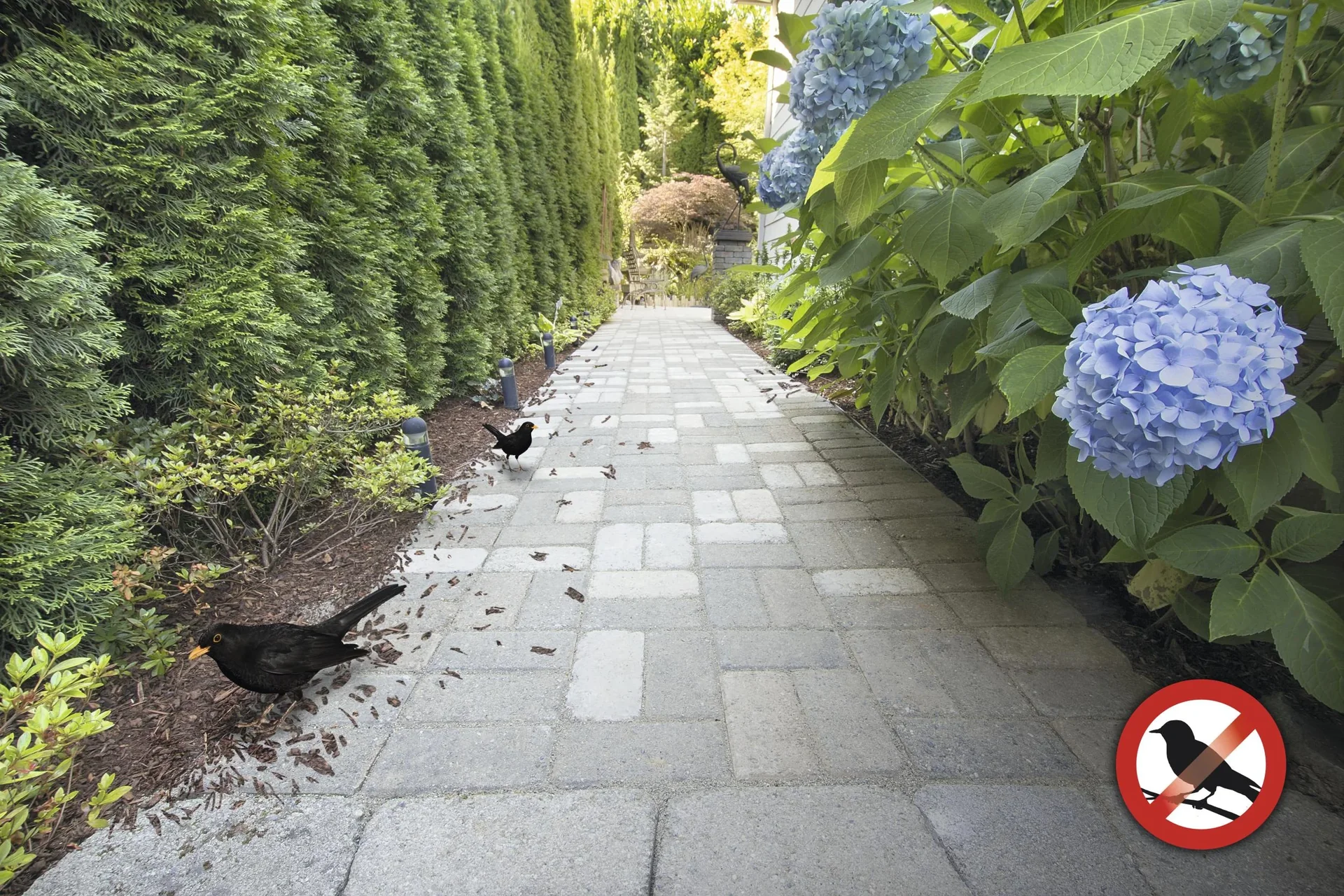 Solar Vogelabwehr - 5