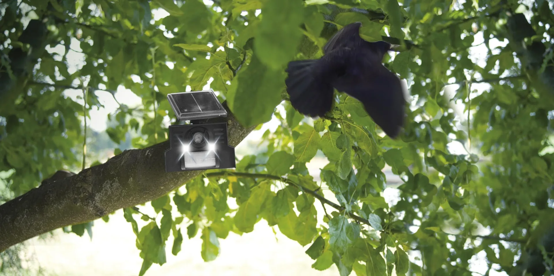 Solar Vogelabwehr - 6