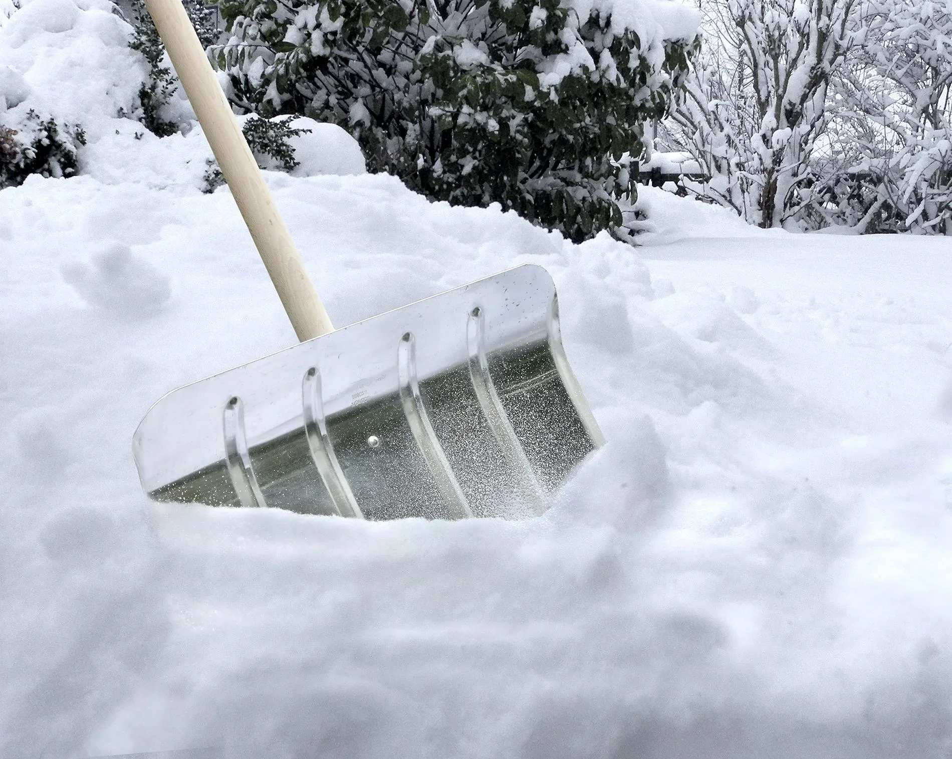 Universal-Griff, ergonomisch, 180 Grad - 4