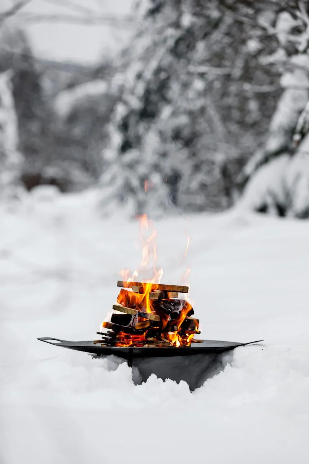 Grill- und Feuerschale - 0