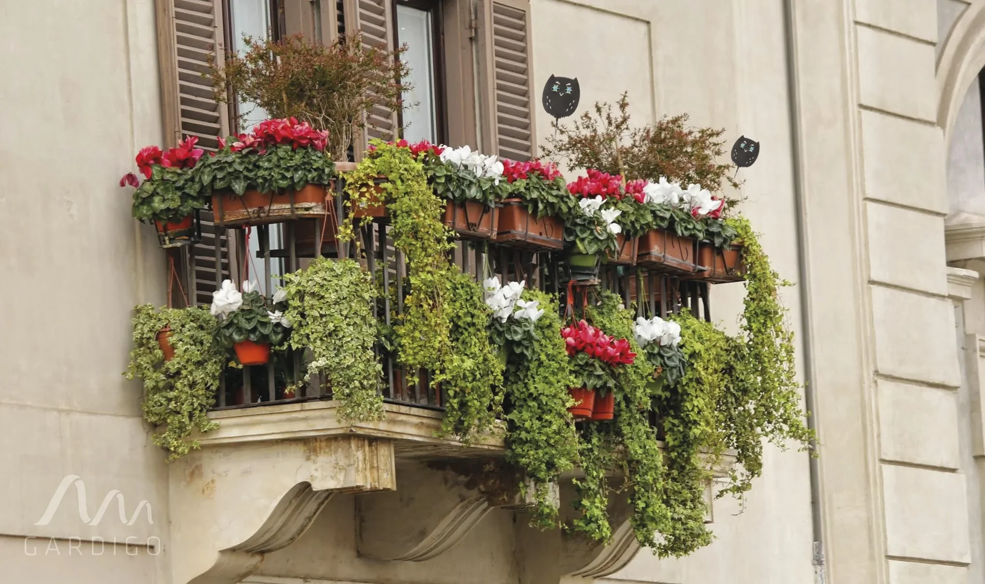 Vogelfrei Eulanda 4er Set - 0