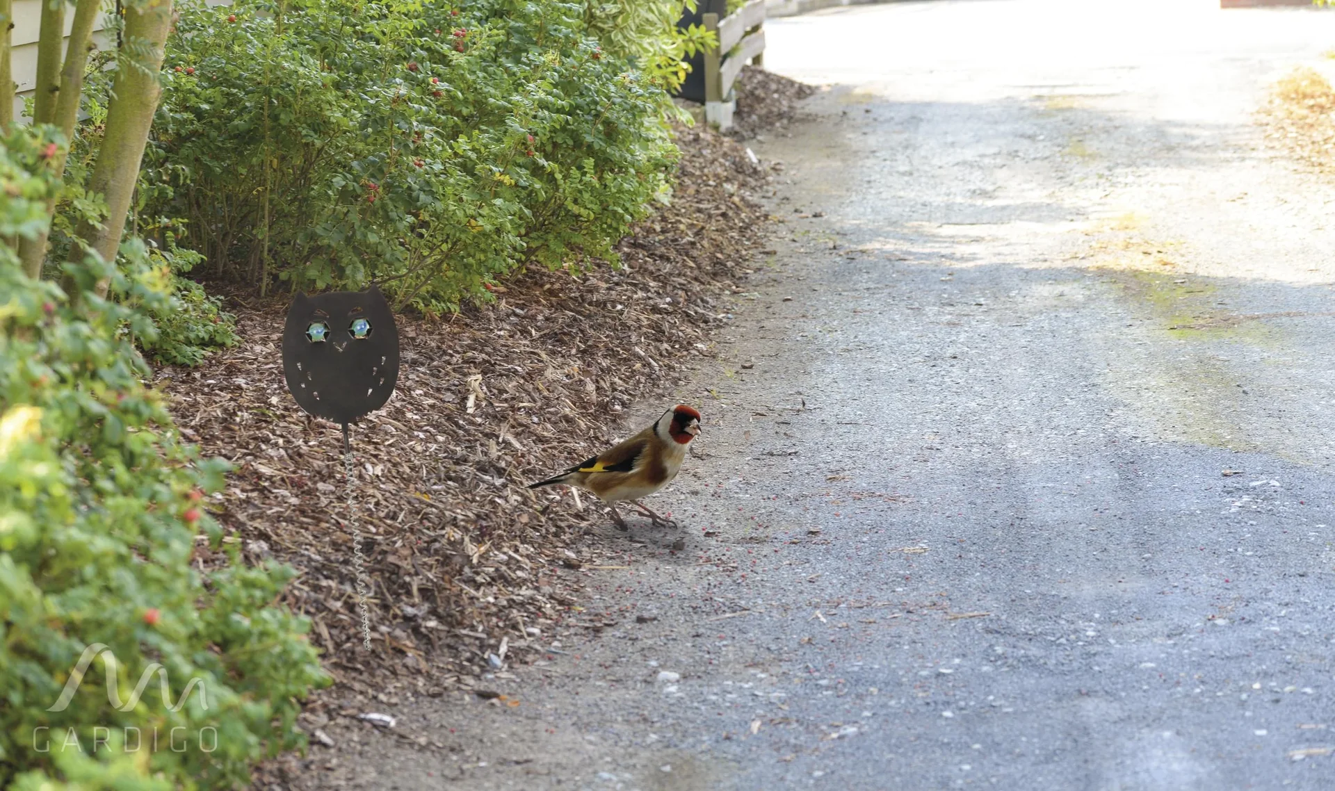 Vogelfrei Eulanda 4er Set - 3